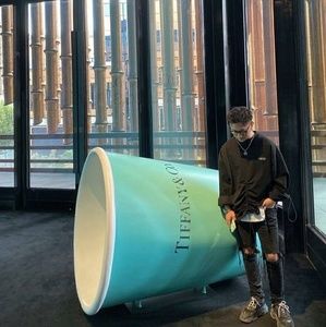 Meet your Posher, Yan